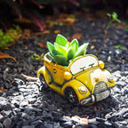 Cute Cacti & Succulent Plants Pot, Succulent Decor Planter Pot Indoor/Outdoor - Image 2
