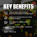 BARE PERFORMANCE NUTRITION, BPN G.1.M Go One More Sport, Endurance Training Fuel