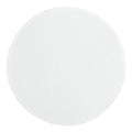 Whatman 10411413 White PTFE Membrane Filter Circle, 50mm Diameter, 0.2 Micron by Whatman