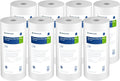 Pentair Pentek DGD-5005 Big Blue Water Filter, 10-Inch Whole House Sediment by PENTAIRPENTEK