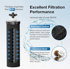 Black Purification Elements Replacement - Image 2