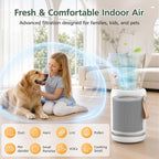 Air Mini Replacement Filter for Moleku-le Air Mini & Air Mini+ Air