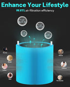 Leemone Blue Pure 311i Max AllergenBlock Replacement Filter Compatible - Image 4