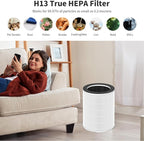 1-Pack KJ510B Replacement Filter Compatible - Image 4