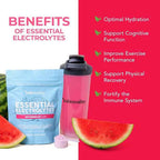 Paleovalley Essential Electrolytes Powder