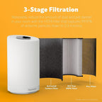 Kenmore PM1005 Air Purifier - Image 3