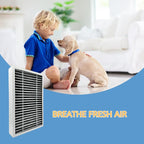 Nispira F1 C01 T02 Carbon Odor Reduction HEPA Filter Replacement - Image 5