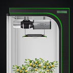 MELONFARM 6" Air Carbon Filter Smelliness Control - Image 7