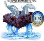 Aquatic Life Color Changing Deionization DI Resin - Image 5