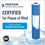 Pentair Pentek GAC-20 Carbon Water Filter, Whole House Granular Activated - Image 3