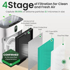 2 Pack Air Purifier Replacement Filter HY4866 Compatible - Image 5