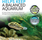 Fluval FX4/FX5/FX6 Bio-Foam, Replacement Aquarium Filter Media - Image 5