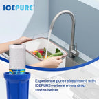 ICEPURE 1 Micron 20" x 4.5" Whole House CTO Coconut Shell Activated Carbon - Image 9