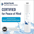 Pentair Pentek CBC-20 Carbon Water Filter, Whole House Carbon Block Replacement - Image 2