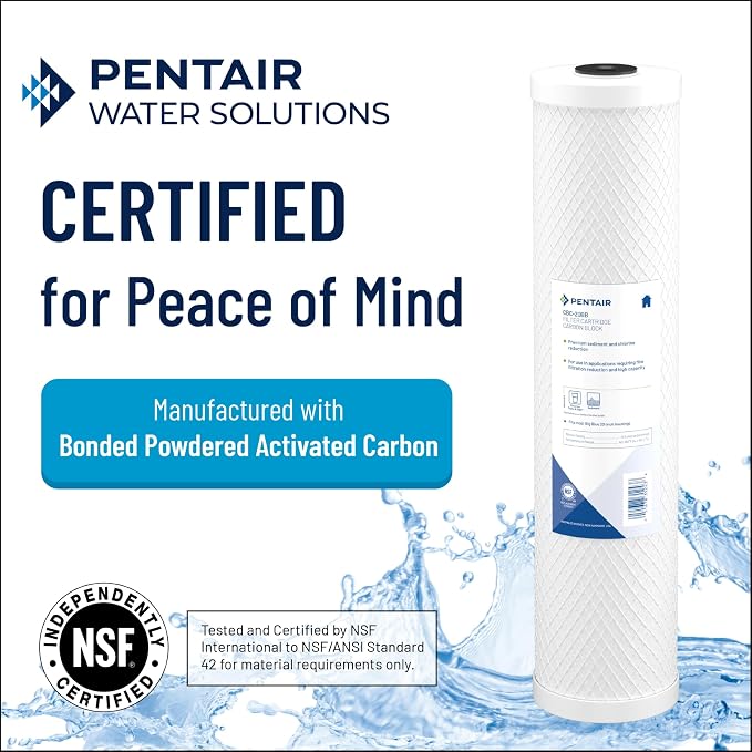 Pentair Pentek CBC-20BB Big Blue Carbon Water Filter, Whole House Carbon Block - Image 3