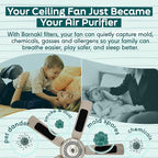 Barnakl Ceiling Fan Air Purifier Pads, Activated Coconut Shell Carbon Fan - Image 3