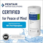 Pentair Pentek DGD-2501 Big Blue Water Filter, 10-Inch Whole House Sediment - Image 3