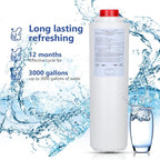 513, Compatible with EzH2O Replacement Bottle Station High Capacity 3000 Gallon - Image 6