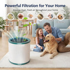 TP01 HEPA Filter Replacement Compatible Only - Image 6