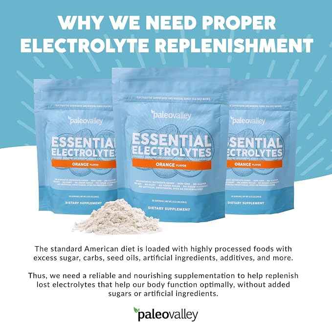 Paleovalley Essential Electrolytes Powder