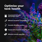 Brightwell Aquatics - Image 4
