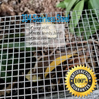 Upgraded 2PACK SS Wire Mesh, 4 Mesh Completely Welded, 12 X 24 in, Stainless 304 - Image 5