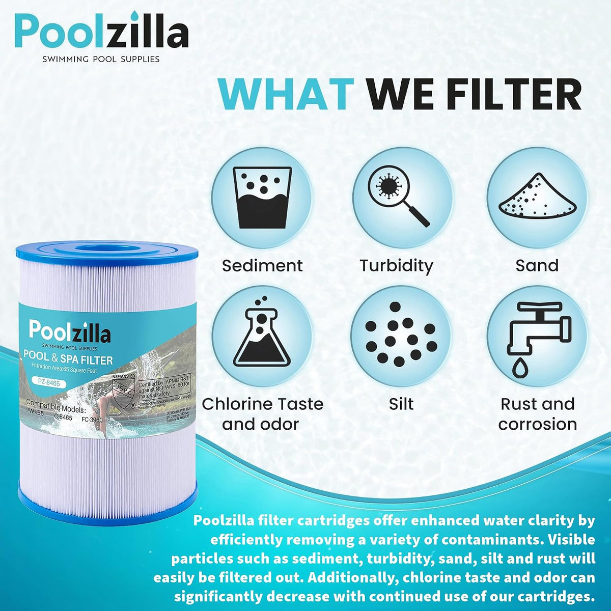 2-Pack Spa Filter Cartridge Replacement for Watkins 31114, Unicel