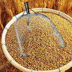 Leaking Soil Shovel Filter Stainless Steel Sieve 4mm/6mm/8mm/12mm Mesh Sifting - Image 4