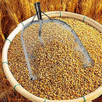 Leaking Soil Shovel Filter Stainless Steel Sieve 4mm/6mm/8mm/12mm Mesh Sifting - Image 4