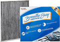 Spearhead Odor Defense Breathe Easy AC & Heater Cabin Filter, Fits Various by SPEARHEAD