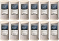 Bluonics Carbon Block Water Filters 12 pcs 4.5" x 10" Cartridges by BLUONICS